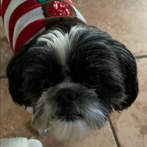 Meet your Posher, Ava